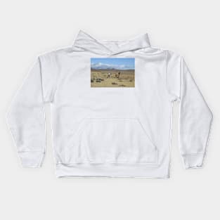 Wild horses, mustangs, nature, wildlife, gifts Kids Hoodie